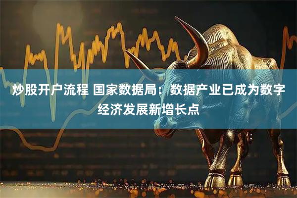 炒股开户流程 国家数据局：数据产业已成为数字经济发展新增长点